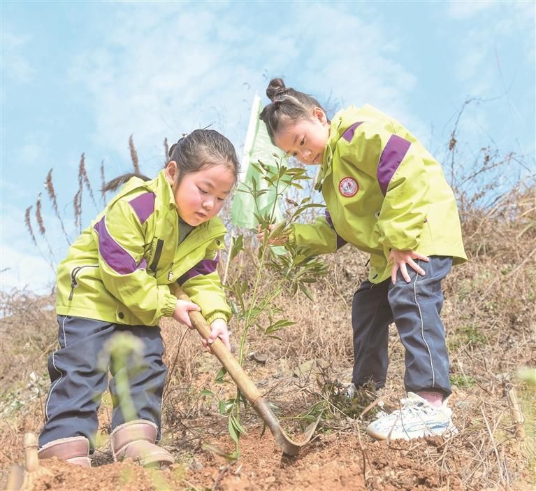 黔東南州鎮(zhèn)遠(yuǎn)縣機(jī)關(guān)幼兒園的小朋友參加義務(wù)植樹活動(dòng)