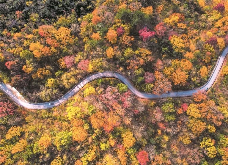 體驗冬日山地美景